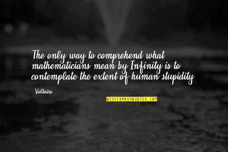 Human Stupidity Quotes By Voltaire: The only way to comprehend what mathematicians mean
