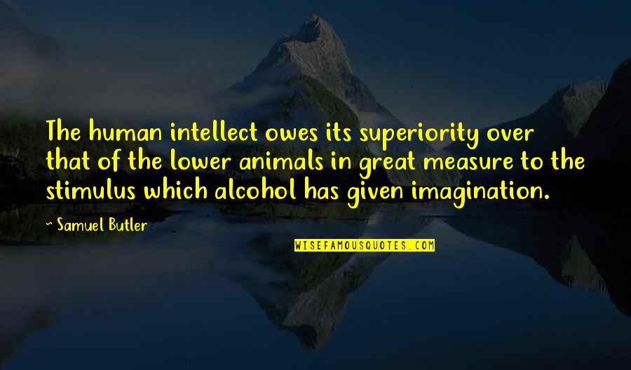 Human Superiority Over Animals Quotes By Samuel Butler: The human intellect owes its superiority over that