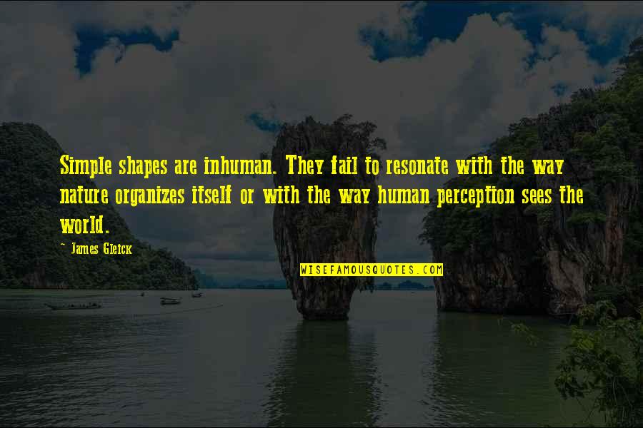Human The World Within Quotes By James Gleick: Simple shapes are inhuman. They fail to resonate Human The World Within Quotes By James Gleick: Simple shapes are inhuman. They fail to resonate