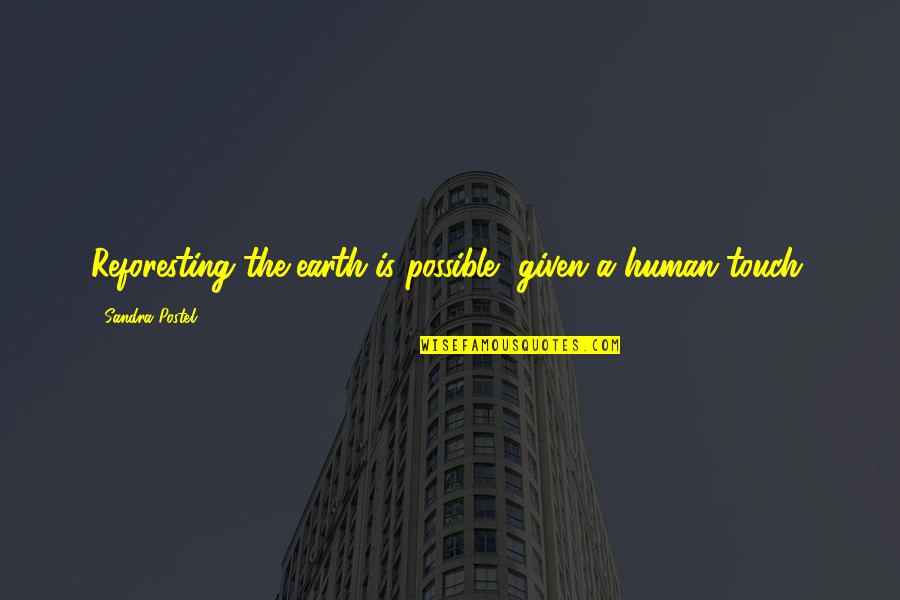 Human Touch Quotes By Sandra Postel: Reforesting the earth is possible, given a human