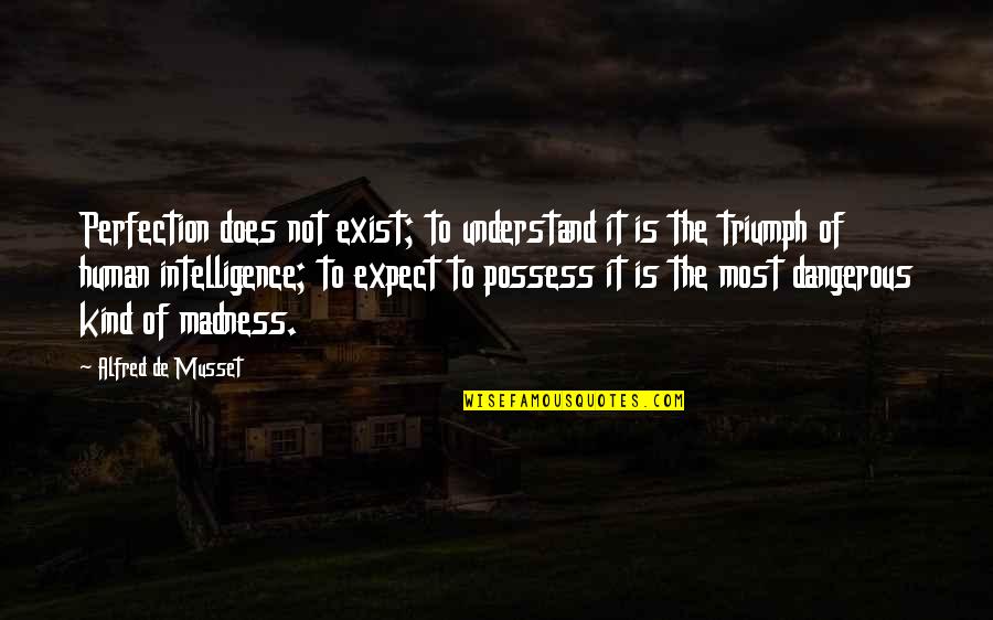 Human Triumph Quotes By Alfred De Musset: Perfection does not exist; to understand it is