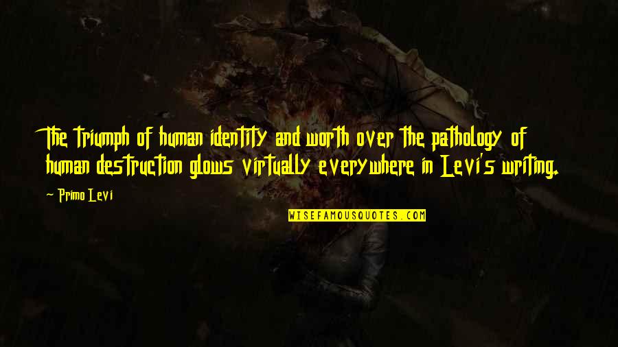 Human Triumph Quotes By Primo Levi: The triumph of human identity and worth over