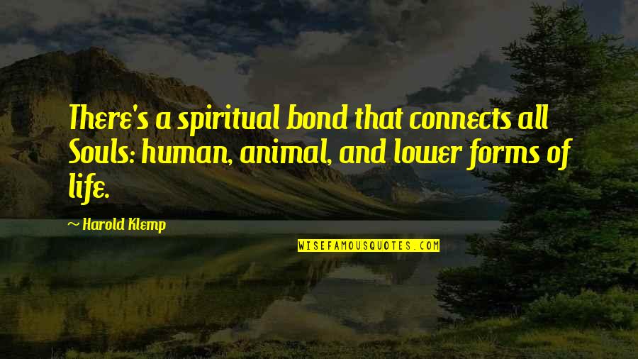 Human Vs Animal Quotes By Harold Klemp: There's a spiritual bond that connects all Souls: