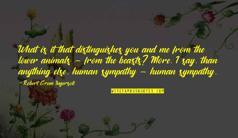 Human You And Me Quotes By Robert Green Ingersoll: What is it that distinguishes you and me Human You And Me Quotes By Robert Green Ingersoll: What is it that distinguishes you and me