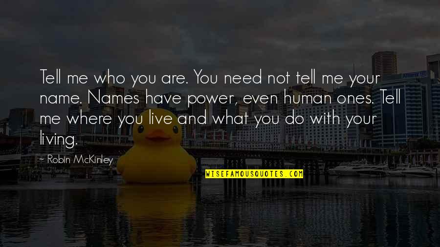 Human You And Me Quotes By Robin McKinley: Tell me who you are. You need not Human You And Me Quotes By Robin McKinley: Tell me who you are. You need not