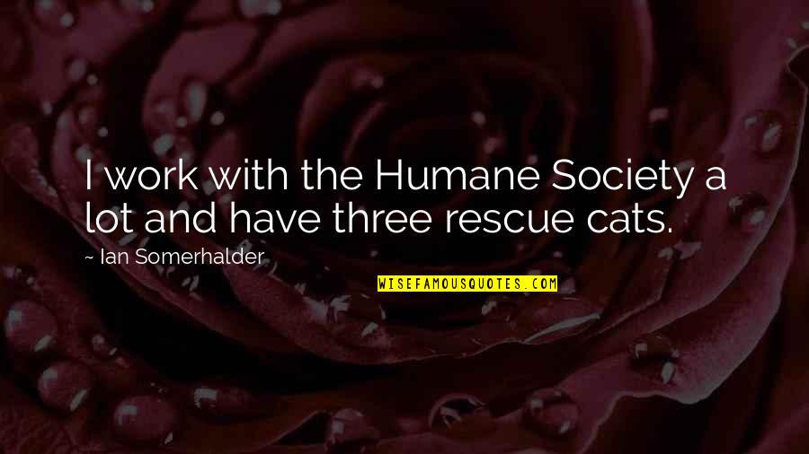 Humane Quotes By Ian Somerhalder: I work with the Humane Society a lot