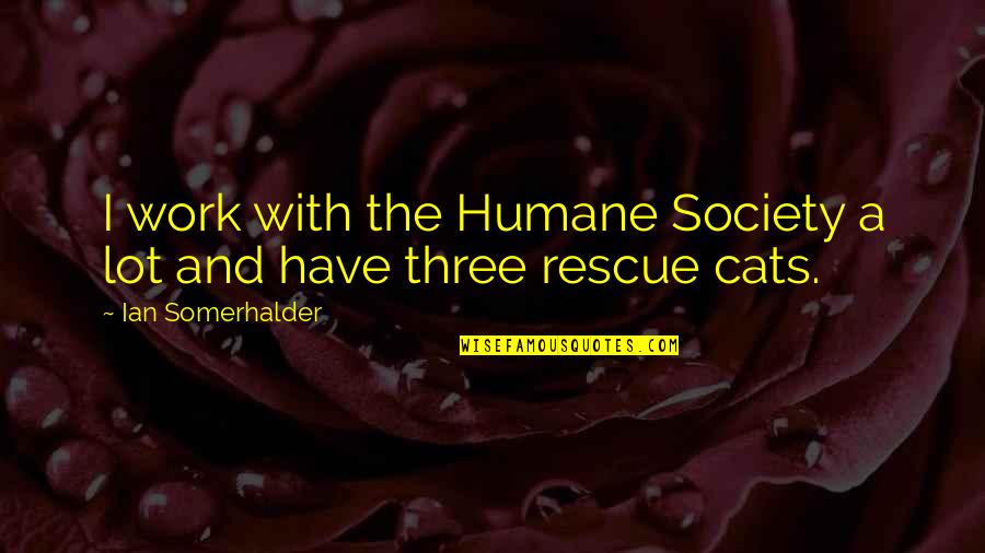 Humane Society Best Quotes By Ian Somerhalder: I work with the Humane Society a lot