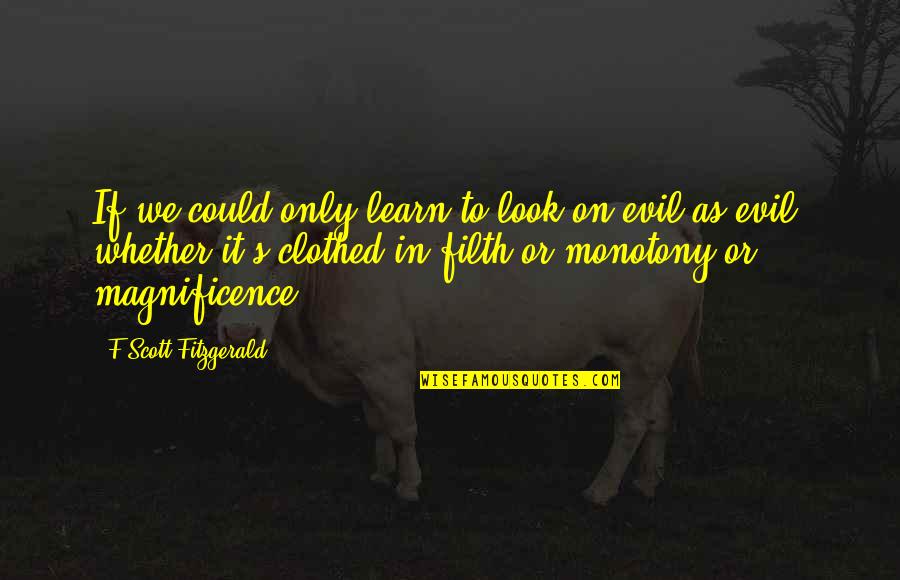 Humanity And Evil Quotes By F Scott Fitzgerald: If we could only learn to look on