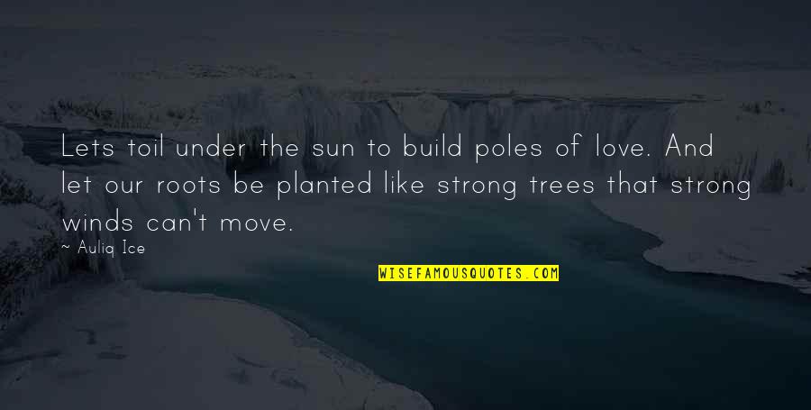 Humanity And Peace Quotes By Auliq Ice: Lets toil under the sun to build poles