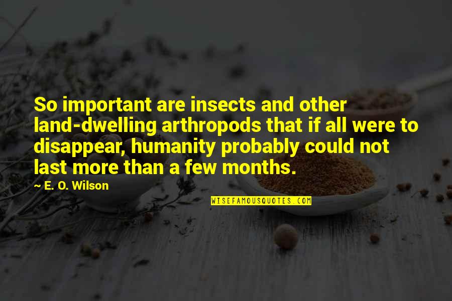 Humanity Important Quotes By E. O. Wilson: So important are insects and other land-dwelling arthropods Humanity Important Quotes By E. O. Wilson: So important are insects and other land-dwelling arthropods