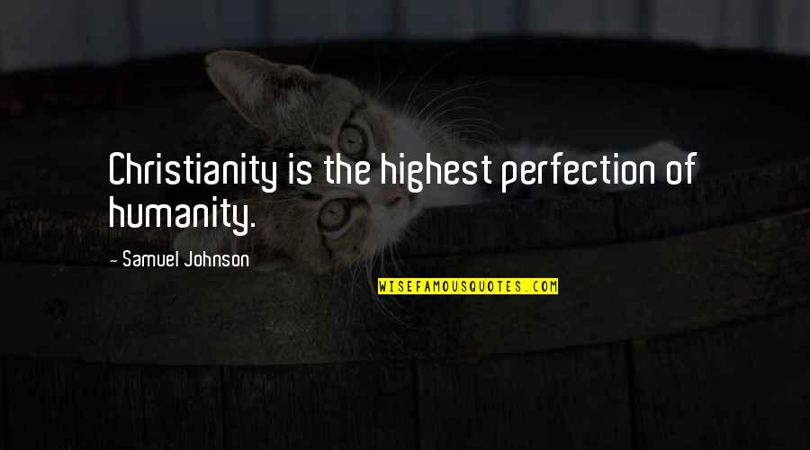 Humanity Over Religion Quotes By Samuel Johnson: Christianity is the highest perfection of humanity.