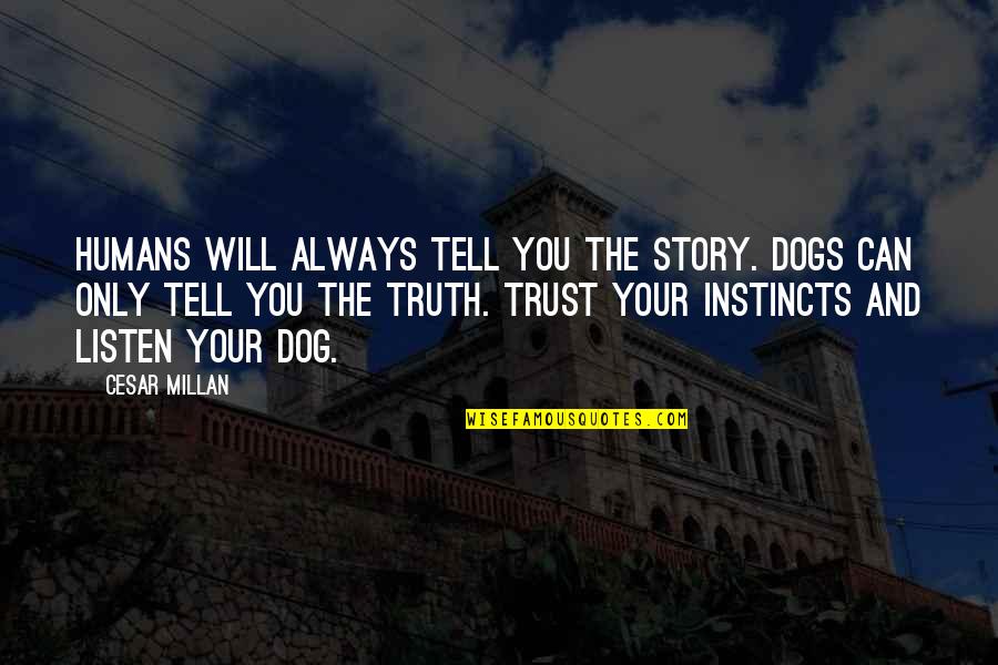 Humans And Dogs Quotes By Cesar Millan: Humans will always tell you the story. Dogs