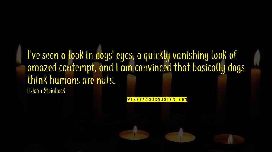 Humans And Dogs Quotes By John Steinbeck: I've seen a look in dogs' eyes, a