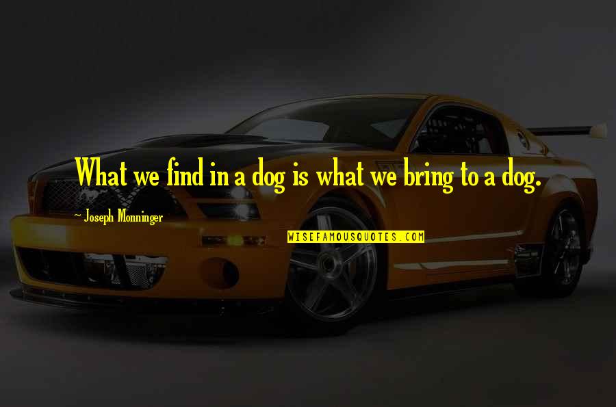 Humans And Dogs Quotes By Joseph Monninger: What we find in a dog is what