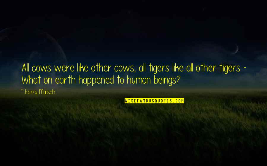 Humans And Evolution Quotes By Harry Mulisch: All cows were like other cows, all tigers Humans And Evolution Quotes By Harry Mulisch: All cows were like other cows, all tigers