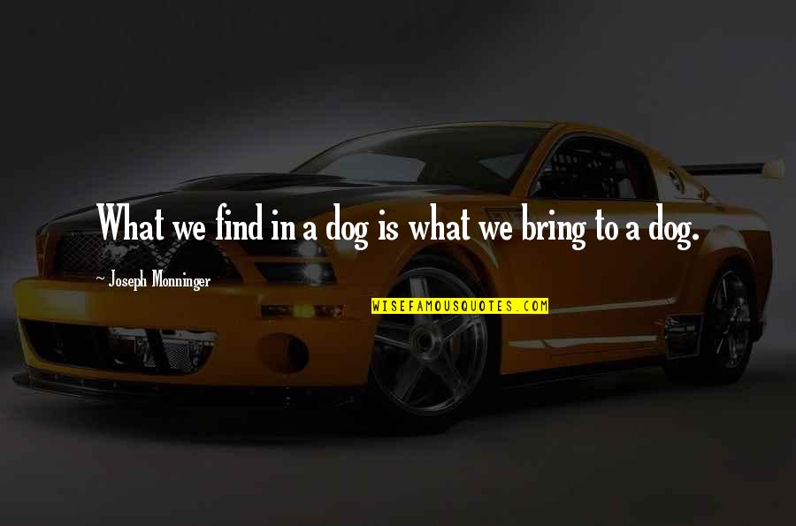 Humans And Their Dogs Quotes By Joseph Monninger: What we find in a dog is what