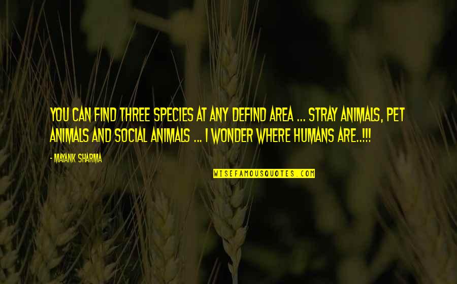 Humans Are Animals Quotes By Mayank Sharma: You can find three species at any defind