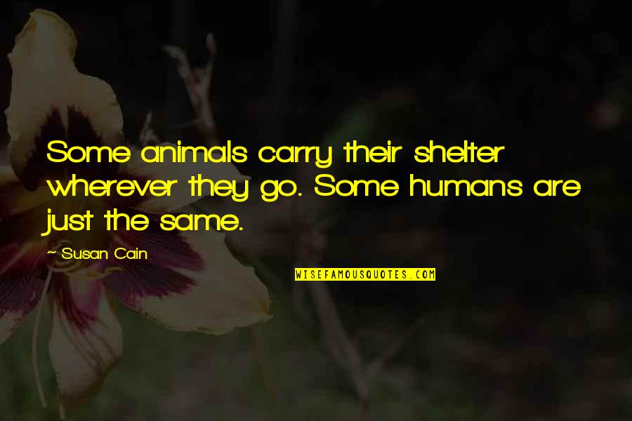 Humans Are Animals Quotes By Susan Cain: Some animals carry their shelter wherever they go.