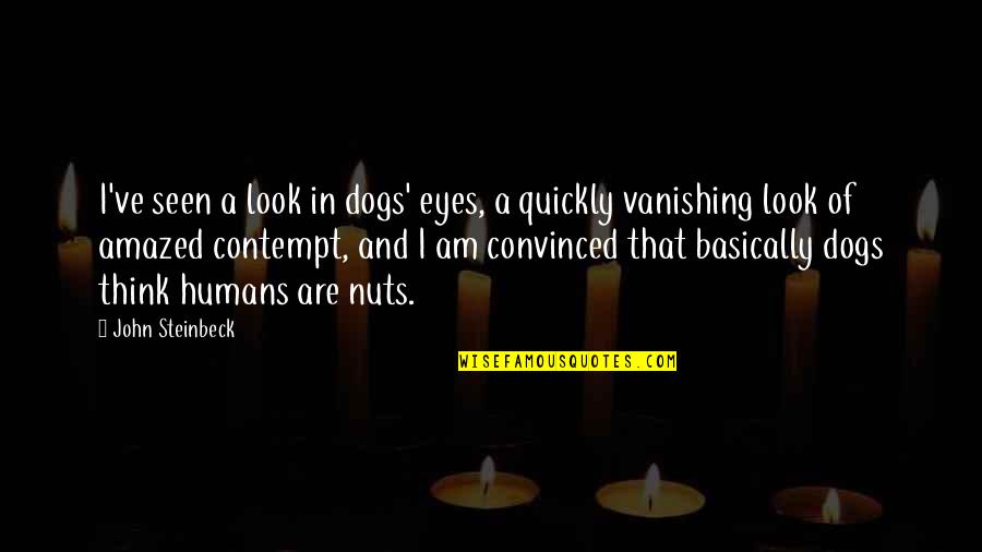 Humans Are Quotes By John Steinbeck: I've seen a look in dogs' eyes, a