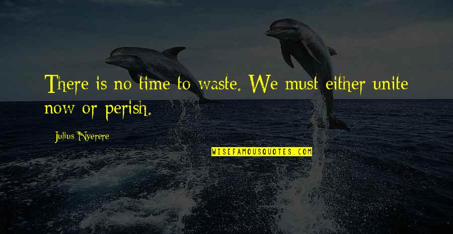 Humans Being Different Quotes By Julius Nyerere: There is no time to waste. We must