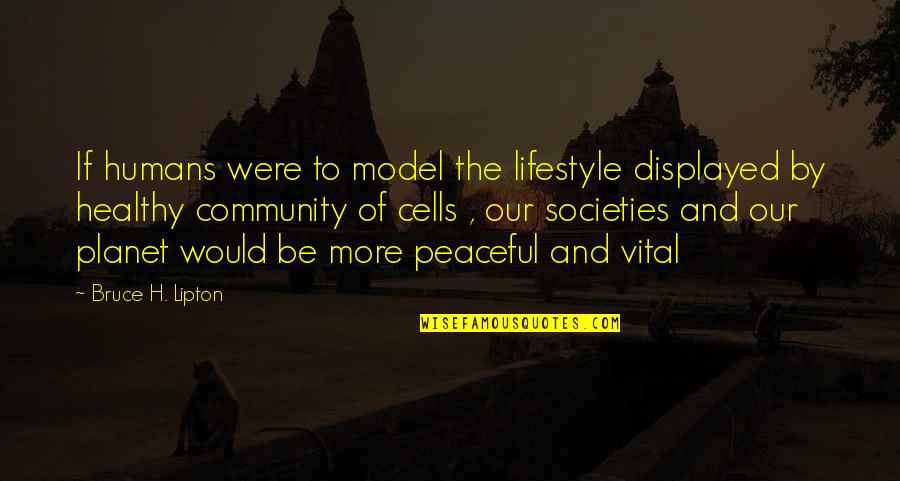 Humans By Quotes By Bruce H. Lipton: If humans were to model the lifestyle displayed Humans By Quotes By Bruce H. Lipton: If humans were to model the lifestyle displayed