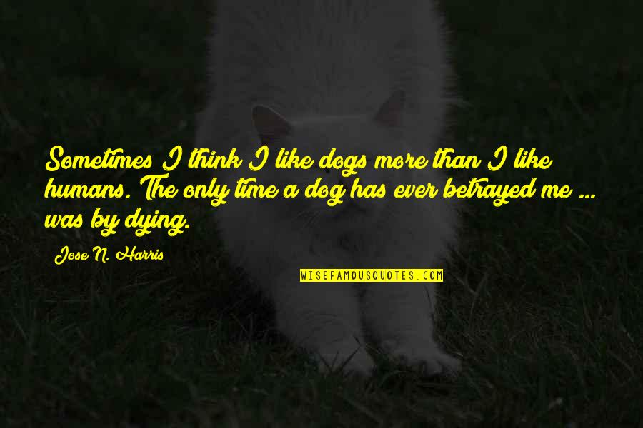 Humans By Quotes By Jose N. Harris: Sometimes I think I like dogs more than Humans By Quotes By Jose N. Harris: Sometimes I think I like dogs more than