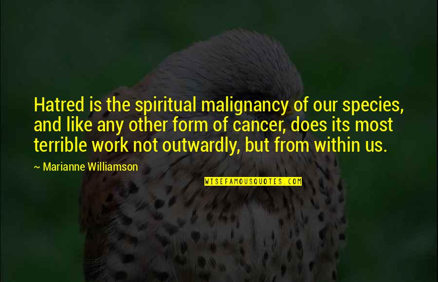 Humara Gull Quotes By Marianne Williamson: Hatred is the spiritual malignancy of our species, Humara Gull Quotes By Marianne Williamson: Hatred is the spiritual malignancy of our species,