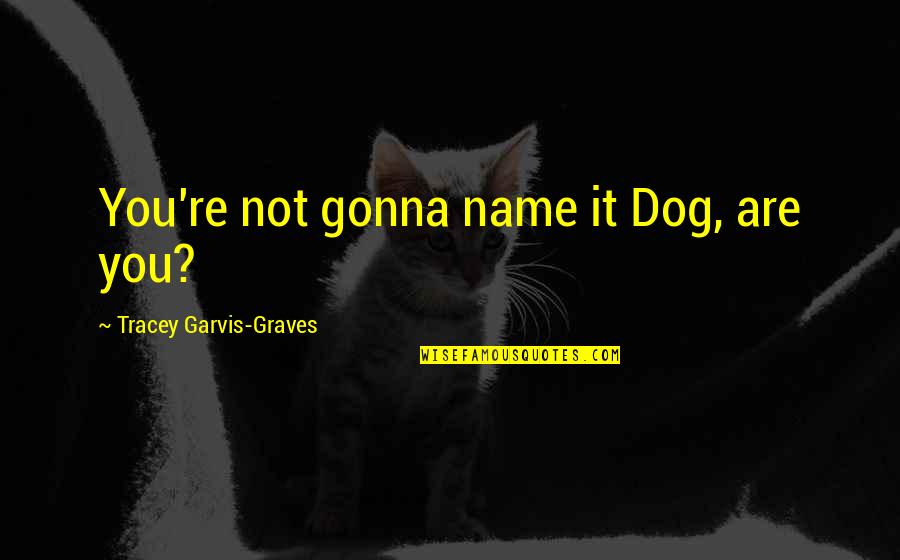 Humayun Ahmed Romantic Quotes By Tracey Garvis-Graves: You're not gonna name it Dog, are you?