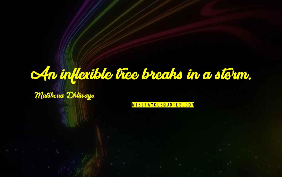 Humbleman Quotes By Matshona Dhliwayo: An inflexible tree breaks in a storm. Humbleman Quotes By Matshona Dhliwayo: An inflexible tree breaks in a storm.