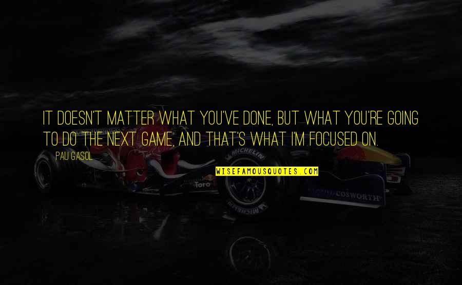 Humdingers Binghamton Quotes By Pau Gasol: It doesn't matter what you've done, but what