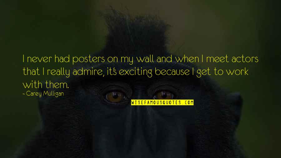 Humdingers Honey Quotes By Carey Mulligan: I never had posters on my wall and Humdingers Honey Quotes By Carey Mulligan: I never had posters on my wall and