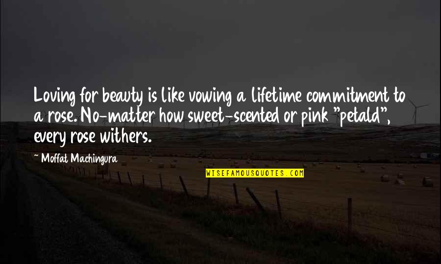 Humdrum Routine Quotes By Moffat Machingura: Loving for beauty is like vowing a lifetime
