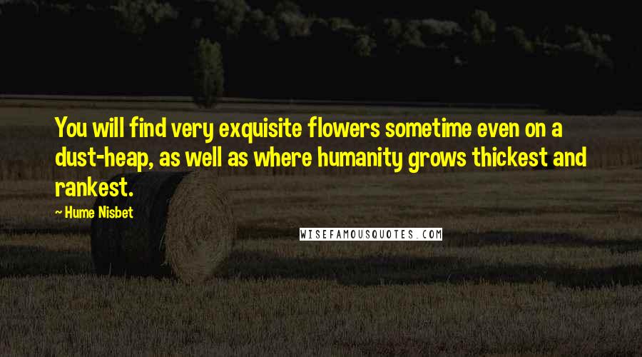 Hume Nisbet quotes: You will find very exquisite flowers sometime even on a dust-heap, as well as where humanity grows thickest and rankest.