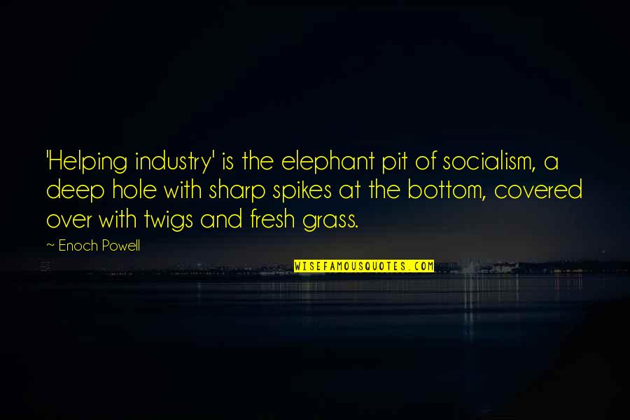 Humedecer Las Manos Quotes By Enoch Powell: 'Helping industry' is the elephant pit of socialism, Humedecer Las Manos Quotes By Enoch Powell: 'Helping industry' is the elephant pit of socialism,