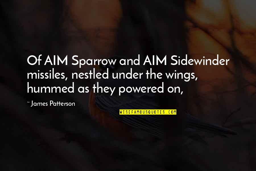 Hummed Quotes By James Patterson: Of AIM Sparrow and AIM Sidewinder missiles, nestled