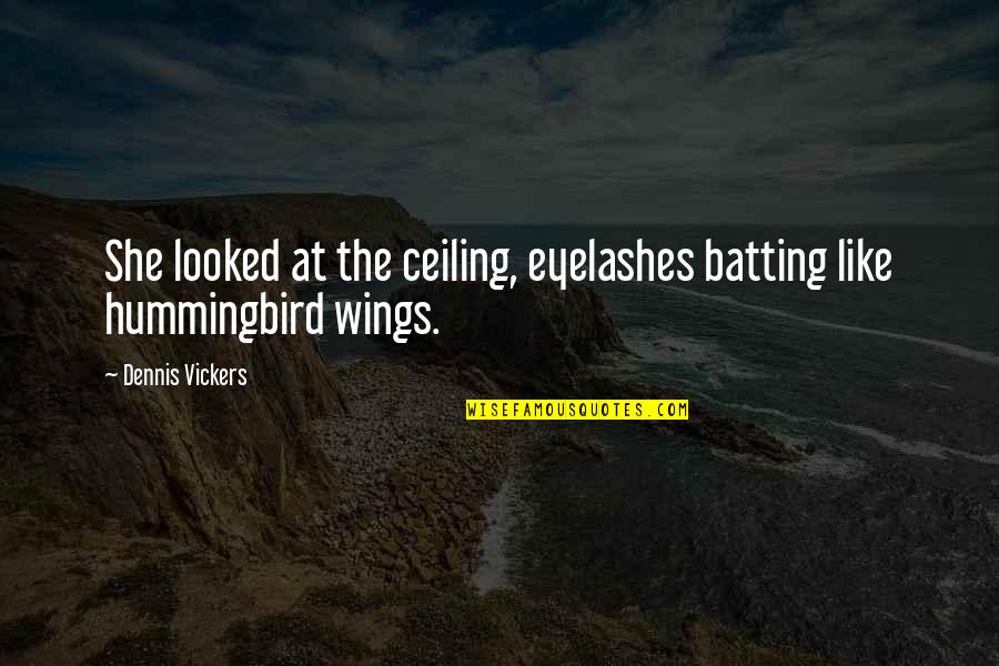 Hummingbird Quotes By Dennis Vickers: She looked at the ceiling, eyelashes batting like Hummingbird Quotes By Dennis Vickers: She looked at the ceiling, eyelashes batting like