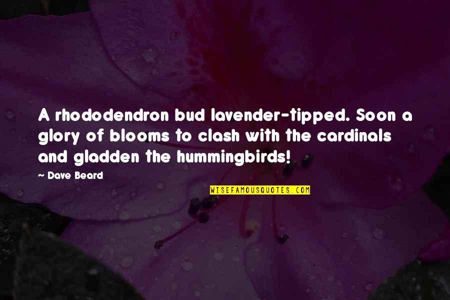 Hummingbirds Quotes By Dave Beard: A rhododendron bud lavender-tipped. Soon a glory of