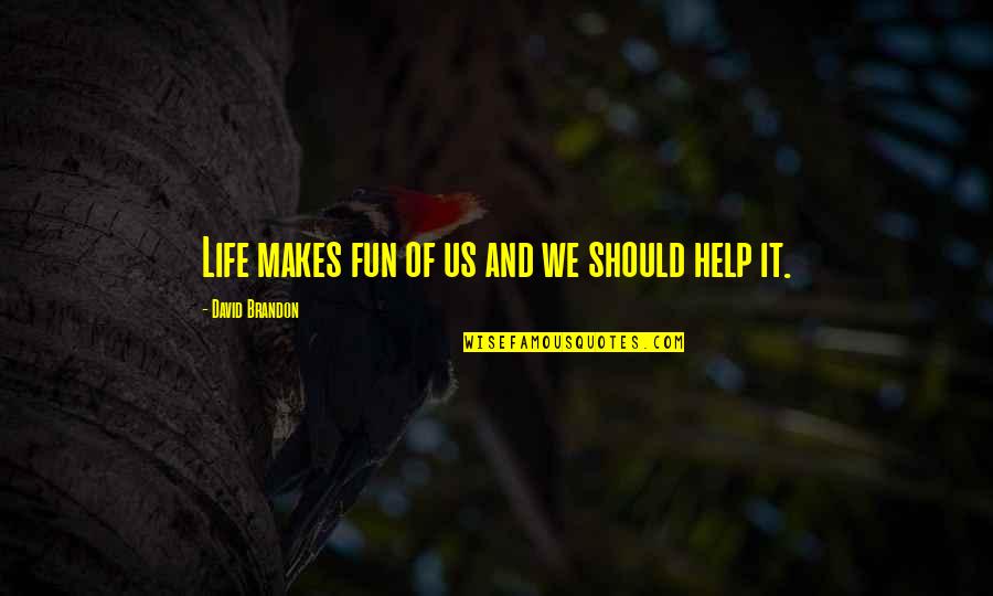 Humor And Life Quotes By David Brandon: Life makes fun of us and we should