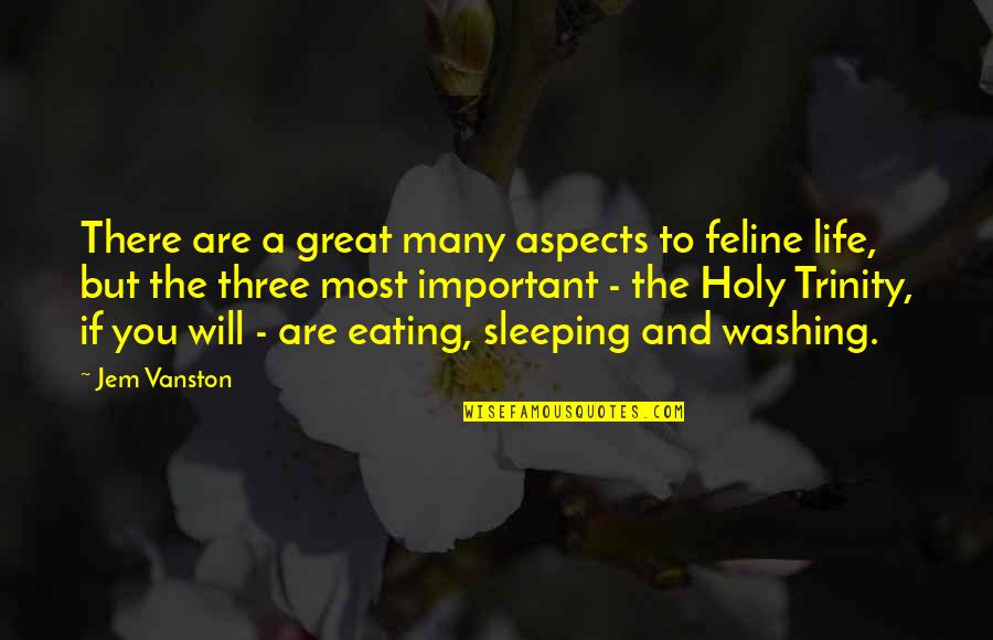 Humor And Life Quotes By Jem Vanston: There are a great many aspects to feline