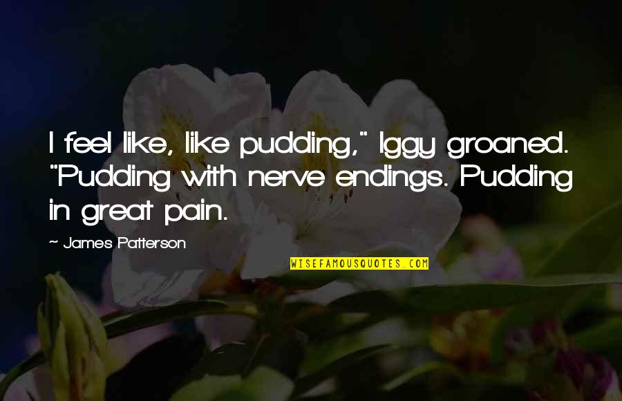 Humor And Pain Quotes By James Patterson: I feel like, like pudding," Iggy groaned. "Pudding