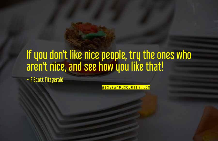 Humor And Wisdom Quotes By F Scott Fitzgerald: If you don't like nice people, try the