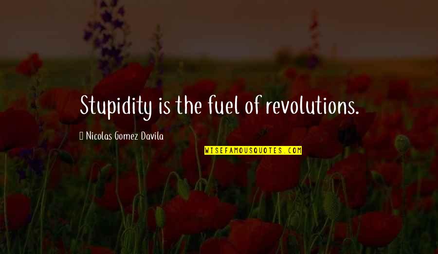 Humor Bayonet Quotes By Nicolas Gomez Davila: Stupidity is the fuel of revolutions.