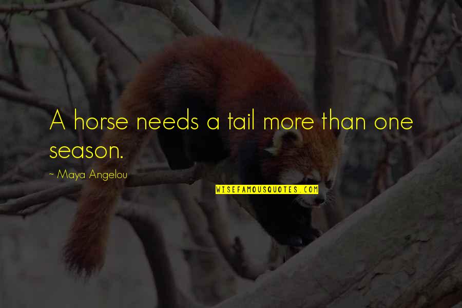 Humor Insight Quotes By Maya Angelou: A horse needs a tail more than one Humor Insight Quotes By Maya Angelou: A horse needs a tail more than one