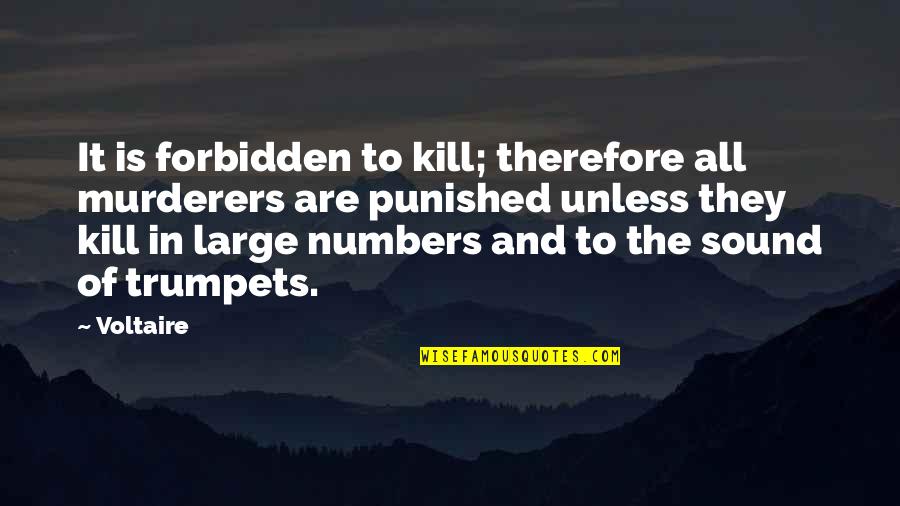 Humor Law Quotes By Voltaire: It is forbidden to kill; therefore all murderers