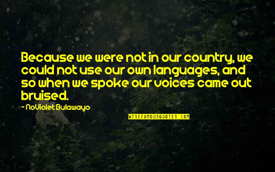 Humorous Cat Quotes By NoViolet Bulawayo: Because we were not in our country, we