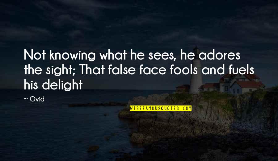 Humorous Irish Quotes By Ovid: Not knowing what he sees, he adores the