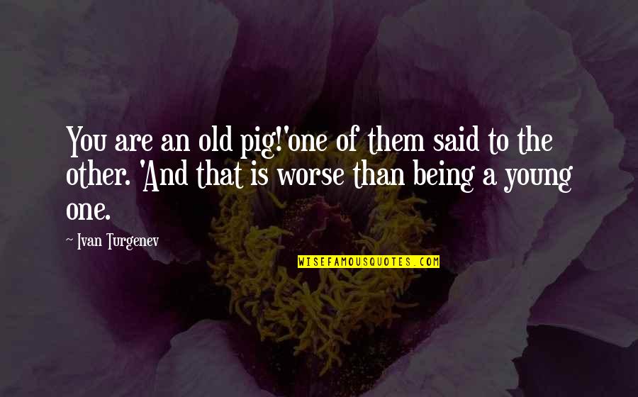 Humorous Philosophy Quotes By Ivan Turgenev: You are an old pig!'one of them said
