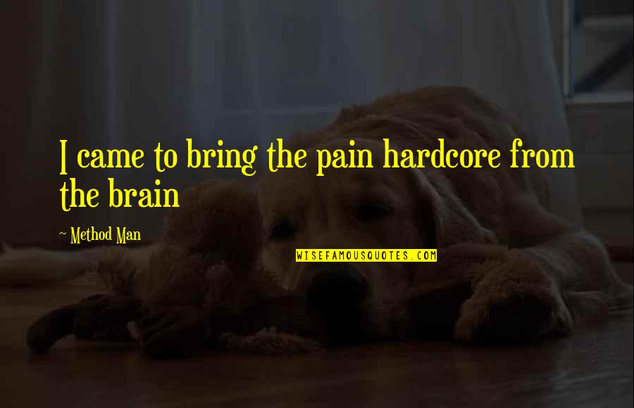 Humorous Salesmen Quotes By Method Man: I came to bring the pain hardcore from