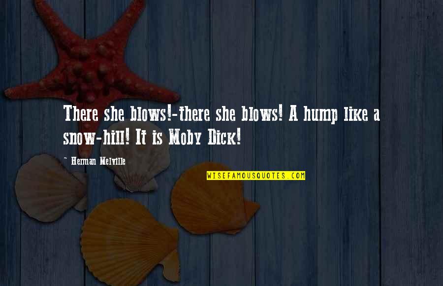 Hump Quotes By Herman Melville: There she blows!-there she blows! A hump like
