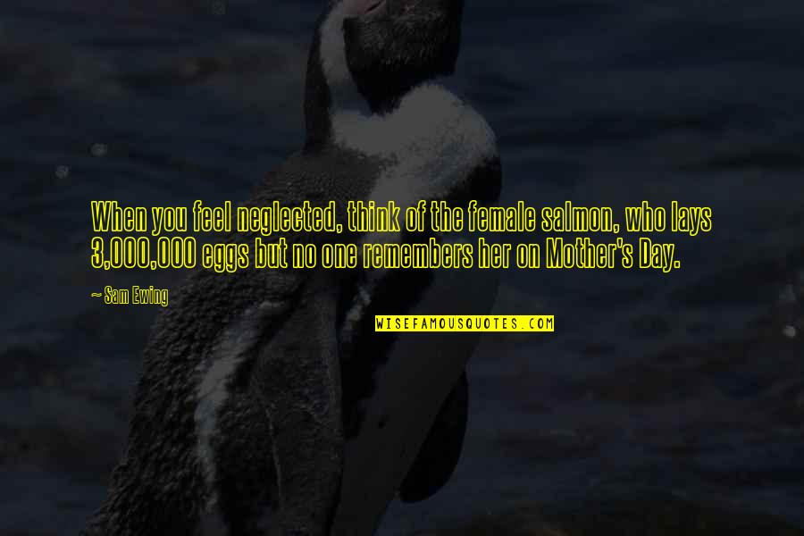 Hundeschule Quotes By Sam Ewing: When you feel neglected, think of the female Hundeschule Quotes By Sam Ewing: When you feel neglected, think of the female